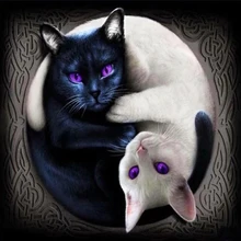 Mosaique Diamant Peinture Noir Et Blanc Chat Promotions Reductions Aliexpress