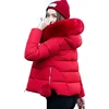 Coats 