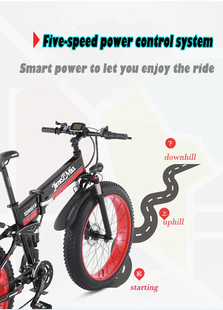 Electric Snow Scooter Adults Two Wheels Electric Bicycles Fat Tires Smart Folding Off Road Electric Bike (11)