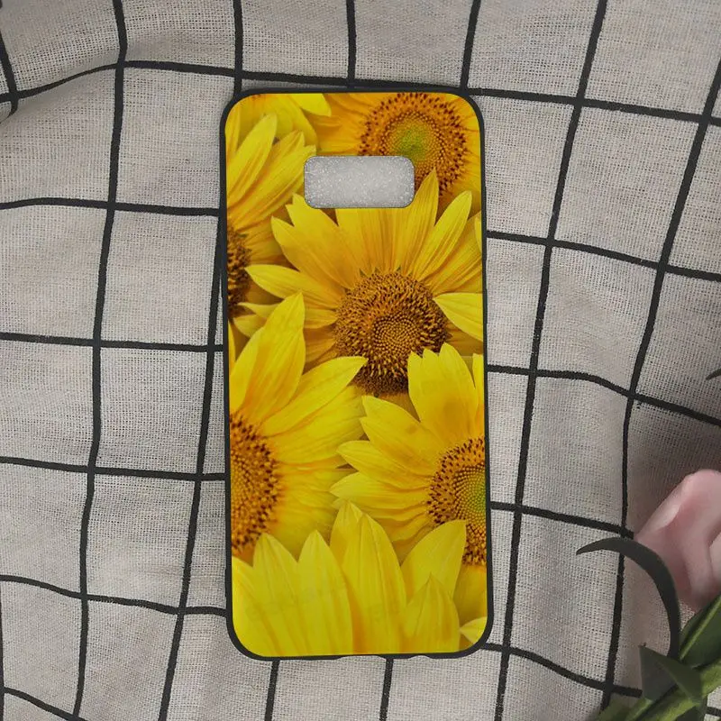 daisy Sunflower