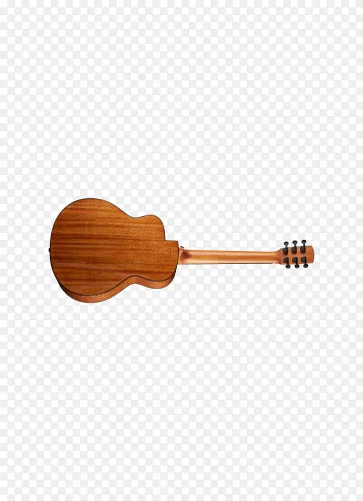 五弦琴鸟声吉他羽毛鸟