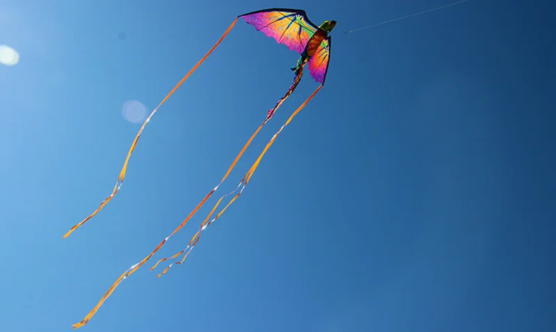 cauda longa única linha kite esportes ao