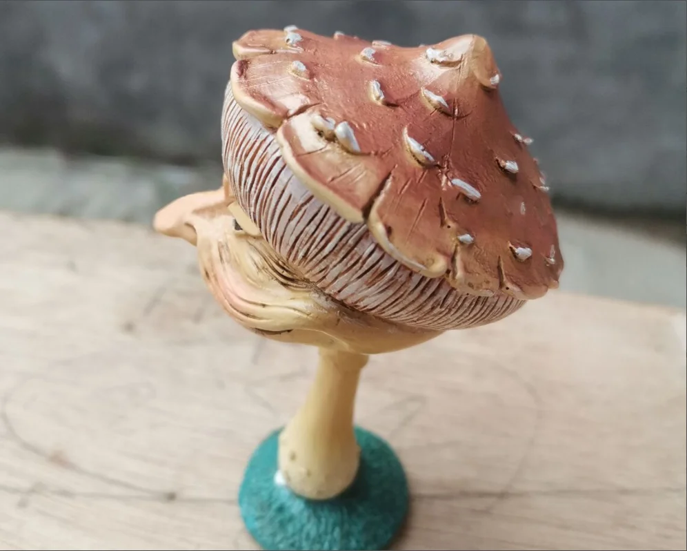 Acheter Modèle de champignon réaliste, largement utilisé, ornement de  jardin féerique, Statue de champignon Miniature, bricolage