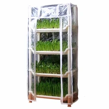 Овощи ростки растут саженцы дисковые виды бобовых ростков горшок бутон семян овощей имплантат поднос для выращивания саженцев коробка для цветов