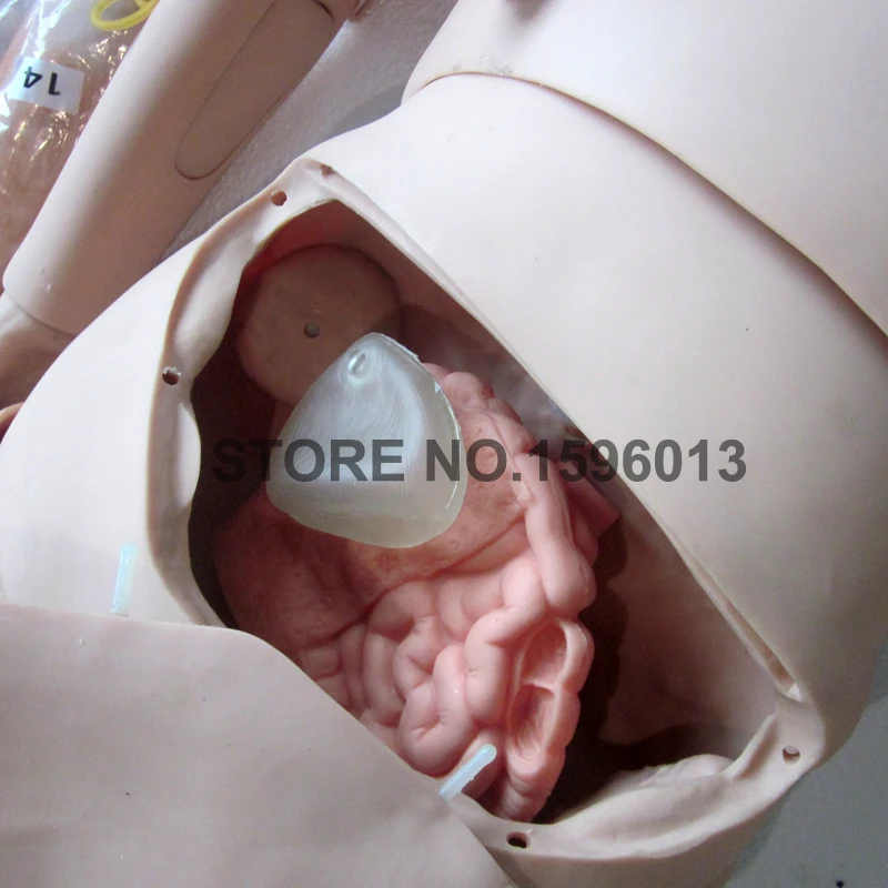 J110 trauma manikin (3)