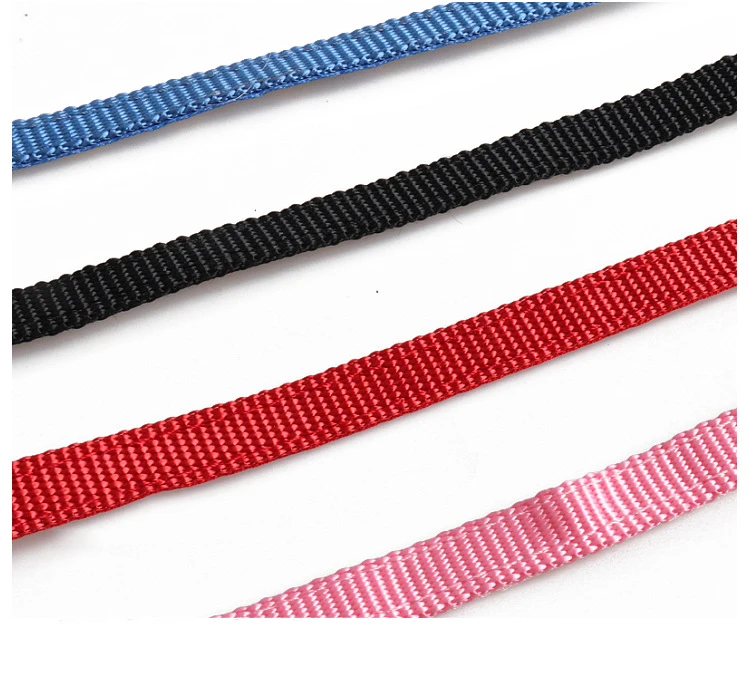 20290169202_307791824