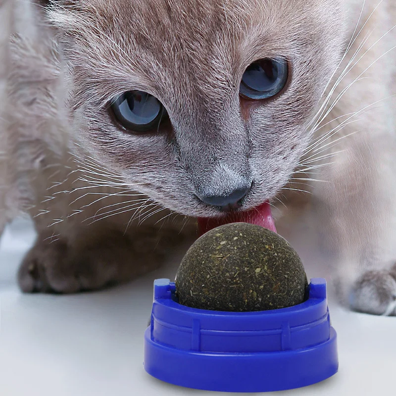 edible cat toys
