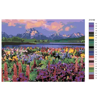 

Painting by numbers, 30x40, z-z10199