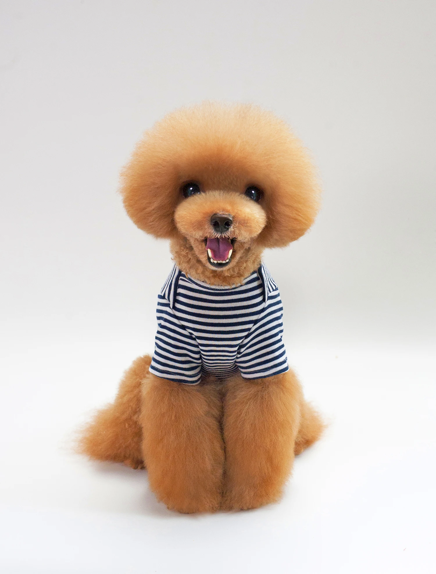 Classic Striped Pet Dog Clothes For Dogs Summer Cotton Puppy T-shirt Small Cats Chihuahua Pug Pets Shirts Clothing |