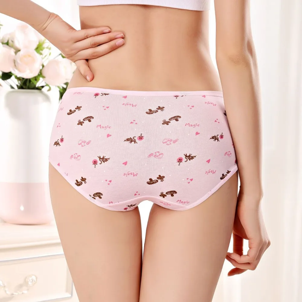 New Underwear Women Panties Cotton Briefs Flower Cueca Plus Size Sexy  Transparent Panty Printed Shorts Underpant Girls