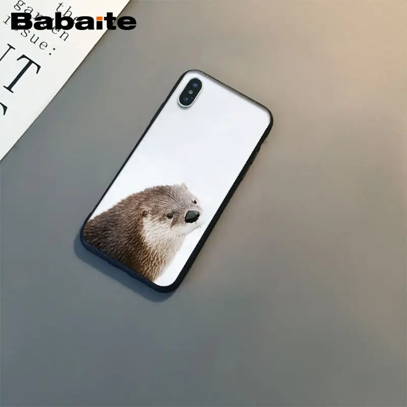 lovely cute Otter water animal
