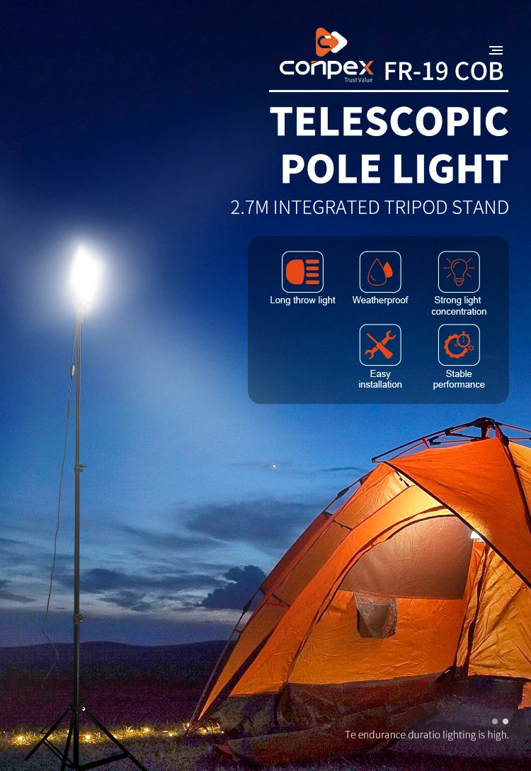 telescopic pole light
