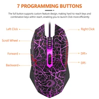 Computer Peripherals