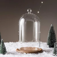 Clear Glass Jar Dome Cover Decorative Clear Glass Dome Cloche Bell Cover Fresh Flower Glass Cover for Wedding Party Valentine 1
