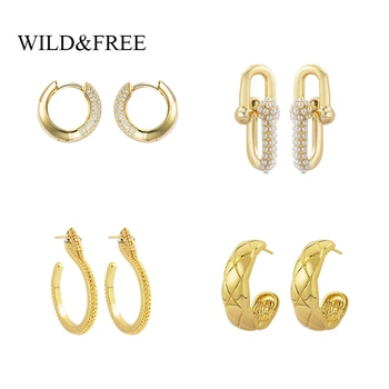

Wild&Free Gold Small Huggie Hoop Earrings For Women CZ Zircon Gold Brass Earrings Wedding Bijoux Brincos Vintage Metal Jewelry