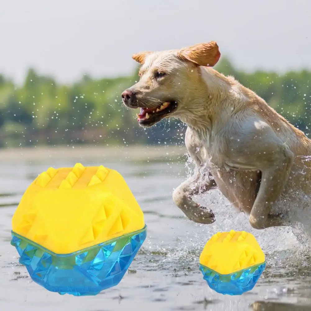 Dog Toys Summer, Water Resistant Dog Toy