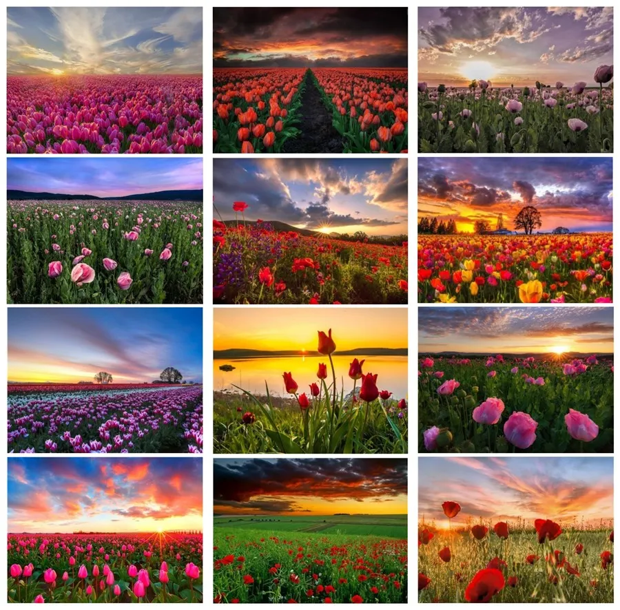 

5D DIY Diamond Painting Flower fields in the sunse Cross Stitch Diamond Embroidery Full circular Rhinestone Home Decoration Gift