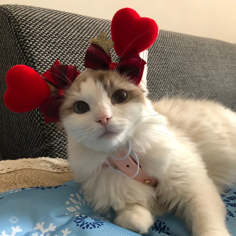 Руководство DIY День Святого Валентина головное украшение для кошки голова собаки набор головной убор для питомца аксессуары для волос шпилька кошка аксессуары для животных принадлежности кошка