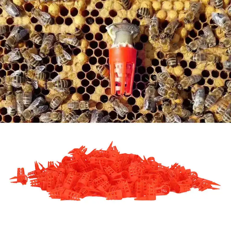 TOPINCN 250 Uds Apertura de plástico jaula de abeja reina cubierta de célula protectora suministros de Herramientas de apicultura caja de insectos