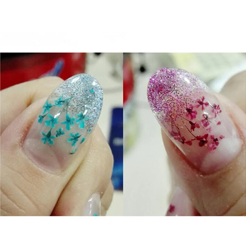 12-Color-box-Nail-Art-Real-Natural-Petal-Dried-Dry-Flower-Tips-3D-Wheel-Decoration-Nail