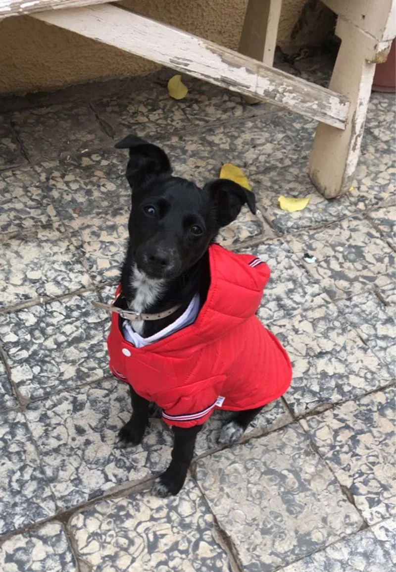 X{%ODW@0C@GU}W%B8U2T)HH