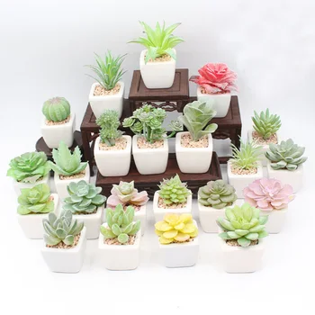 

PVC Artificial Succulents Plants with Vase Bonsai Desktop Fake Plants Set Valentine's Day Wedding Home Decoration