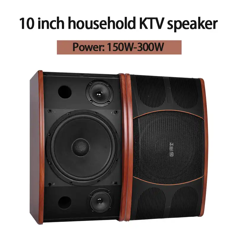 speaker monitor audio 10 inch