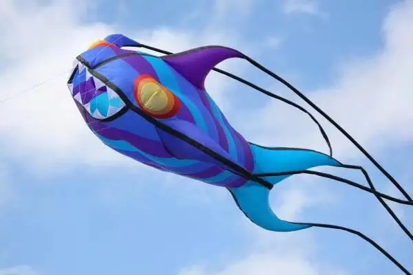 Мягкий 3d pulpo koinobori воздушный змей vlieger воздушные змеи для взрослых воздушный змей Летающий cometas Para Adultos fly windsock Осьминог воздушный змей