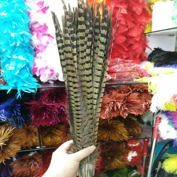 

Wholesale 500 pcs Pretty Natural Pheasants Feathers 16-18inches/40-45cm Christmas Decoration clothing accessories