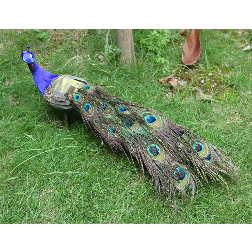 Artificial Feathered Peacock Birds Figurine Animal Statue for Indoor &amp Outdoor Decor | Дом и сад