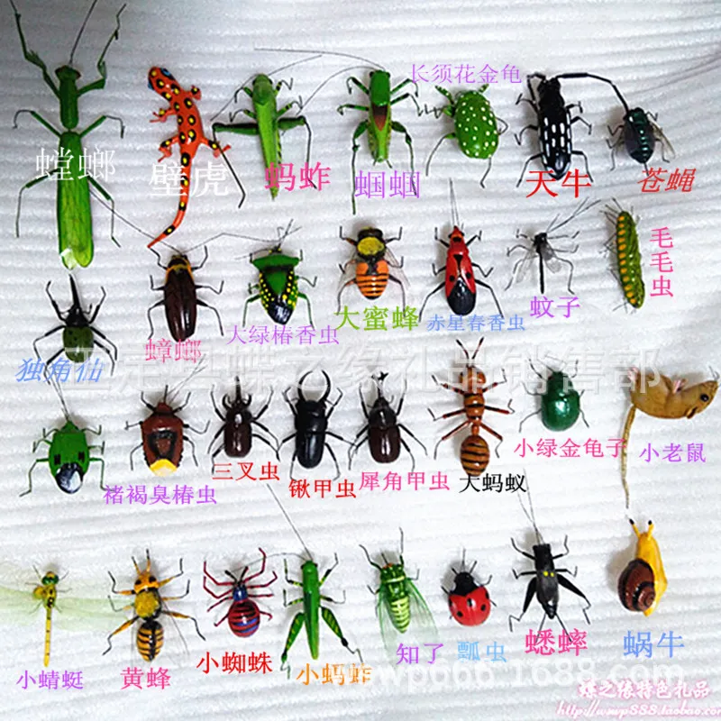 昆虫3