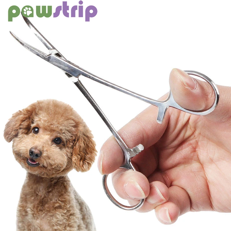 De acero inoxidable para fórceps hemostáticos gato tijeras de peluquería canina mascotas recto/cabeza curva pinzas perro Limpieza del cabello pinzas