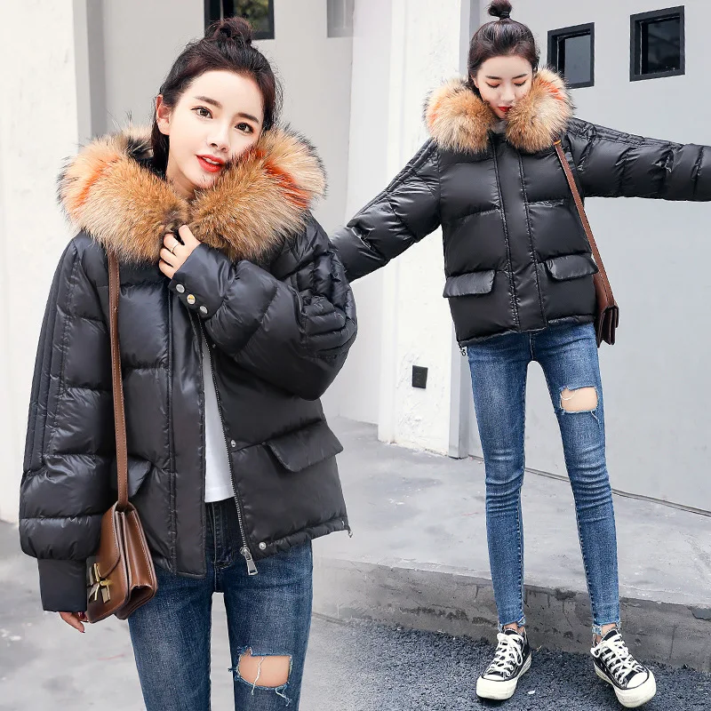 

Cotton Coat 2019 Autumn And Winter WOMEN'S Dress Color Large Fur Collar Cotton-padded Clothes Korean-style Fashion Hooded Short