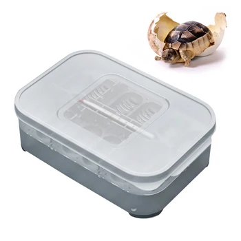 

PP Small Climbing Pet Lizard Large Capacity Reusable Turtles Birds With Thermometer Eggs Incubator Reptile Breeding Box Easy Use