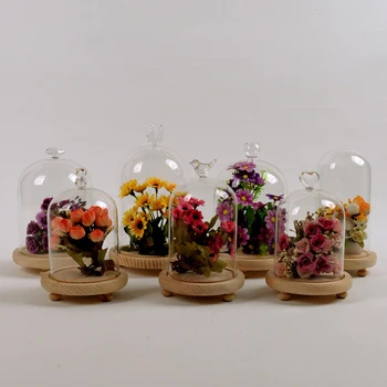 

Home Decor Vases Glass Flower Display Cloche Bell Jar Dome Immortal Preservation 10x12cm New