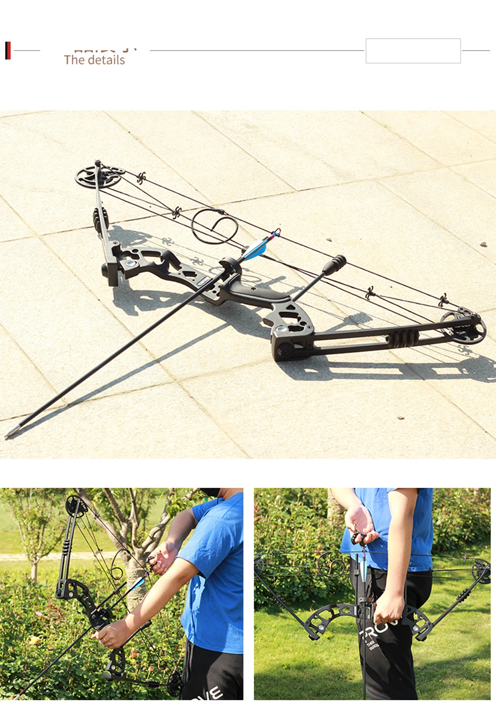 Professional Composite Bow, 30-60 Pounds, Powerful Archery for