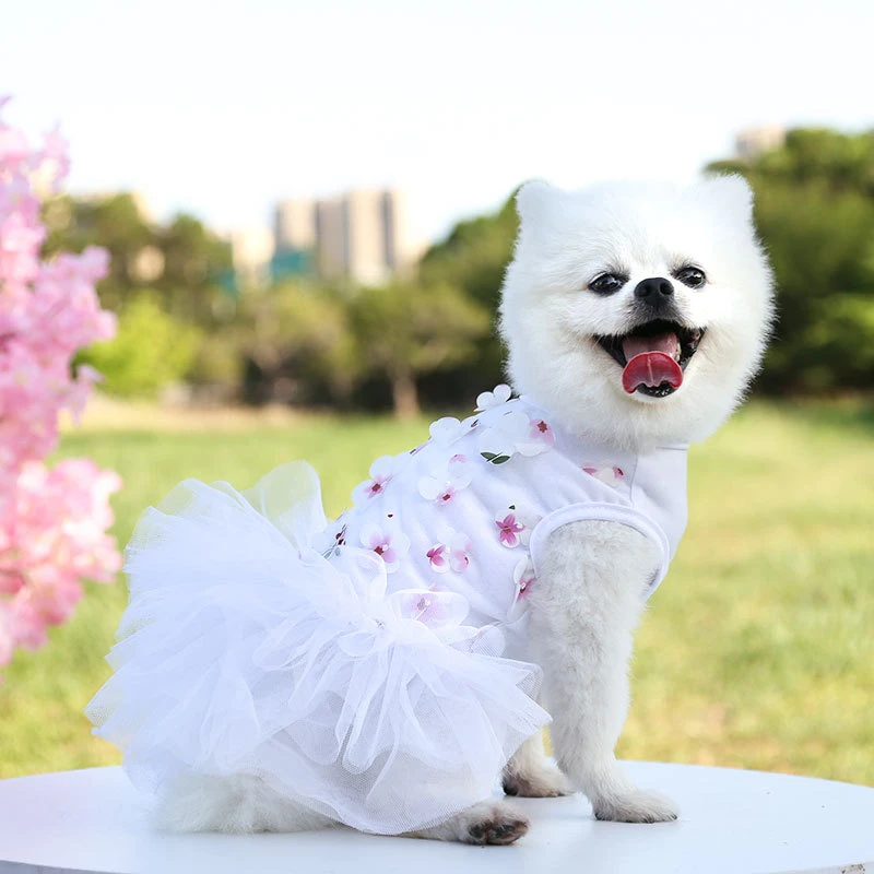 Ropa de princesa para mascotas, falda de lujo de alta gama para perro y  gato, bichón, Chihuahua, vestido de flores de melocotón para perros  pequeños y medianos de algodón|Vestidos para perro| -
