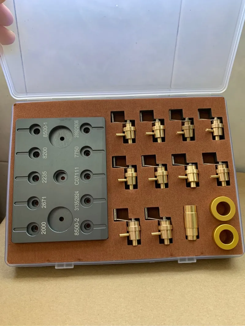 Spring winding. Цветы в поле в ветреную погоду. Фотосессия дует лепестки в саду. Легкий как весенний ветер. Я ограничила круг общения.