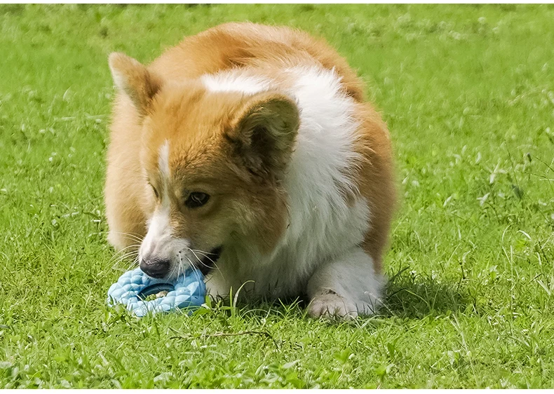 详情_O1CN01uX5sbZ24Nd7ue4QPN___704407379