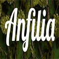 anfilia Outlets Discount Store