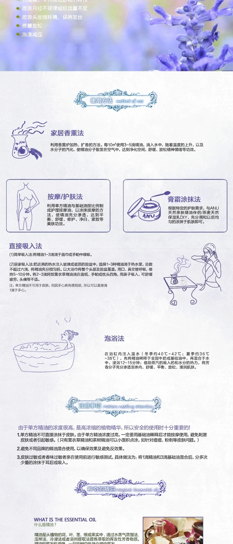 快乐鼠尾草_02