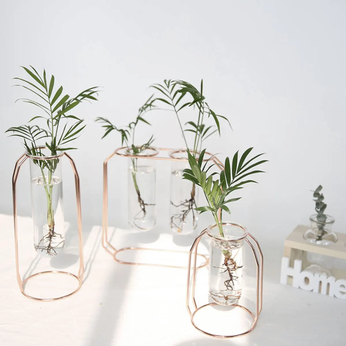 Vase hydroponique cocooning et créatif en verre