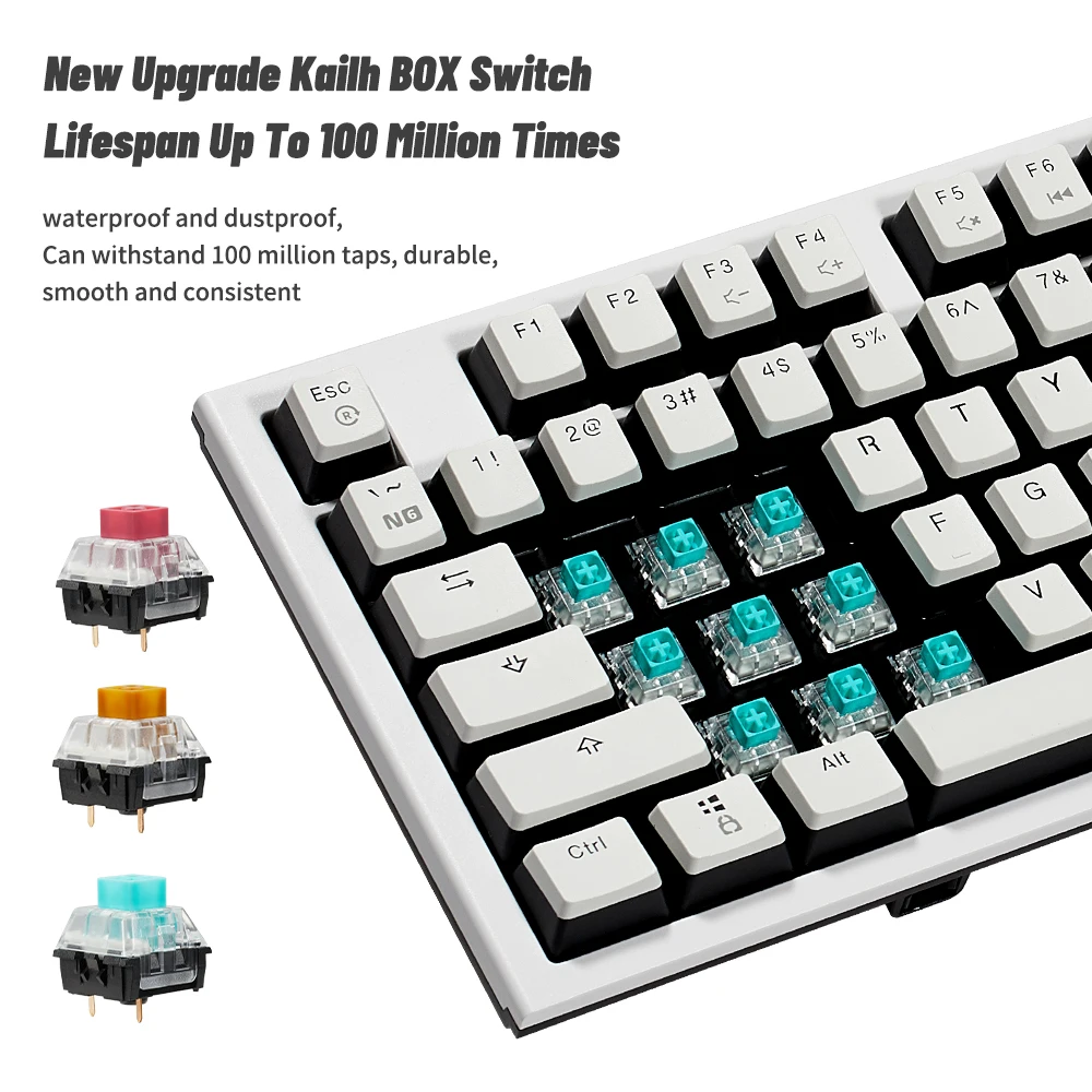 キーボード Kailh Hexgears Commemorative keyboard Budget Kailh Box Switch Keyboard - Hexgears K520 - Amazing