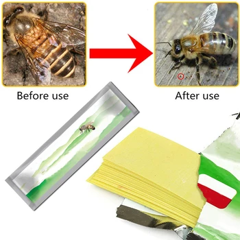 

1bag Bee Mite Medication Acaro Fluvalinate Apicultura Varroa Imker Milbe Treatment Bees Mites Killer Strip Beekeeping Acariacide