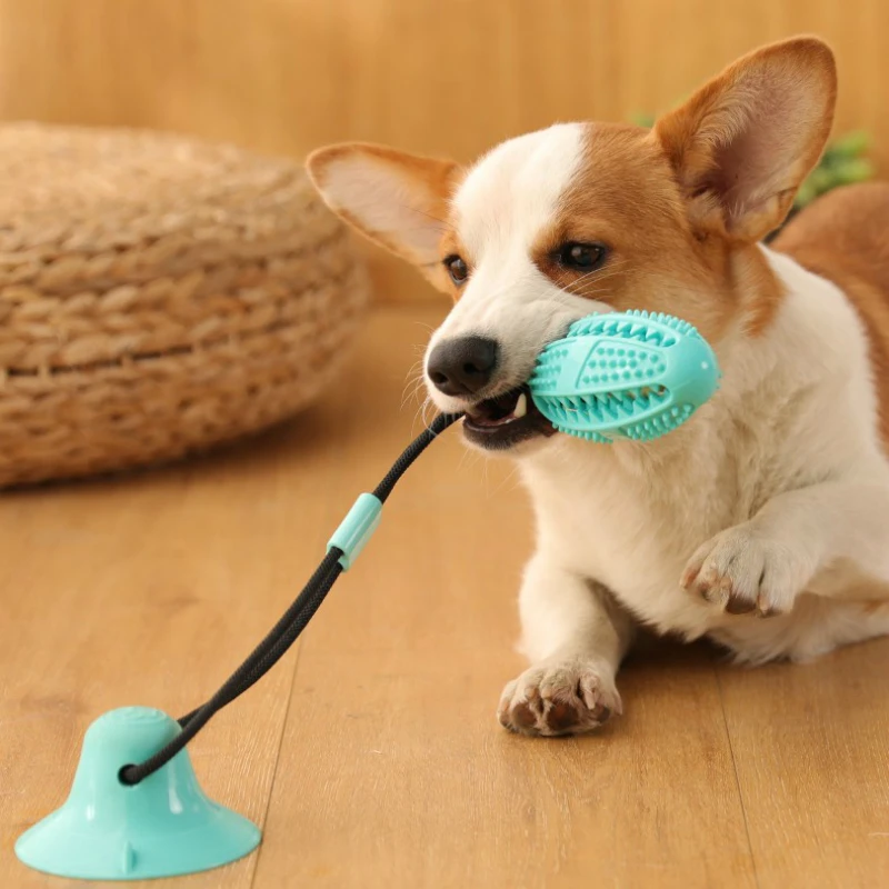 Pet Dog Toys Silicon Suction Cup Tug Dog Toy Dogs Push Ball Toy Pet Tooth  Cleaning Dog Toothbrush for Puppy large Dog Bite Toy|Dog Toys| - AliExpress