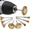 60pcs Stainless Steel Wire Wheel Brass Brush Dremel Rotary Tool for Mini Drill Dremel Polishing Dremel Rotary Tools Accessories ► Photo 3/6