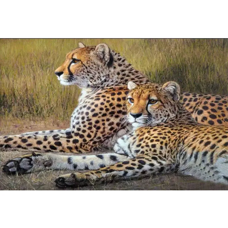 5D DIY Diamond Painting Full Square/Round Drill Cheetah 5D Diamond
