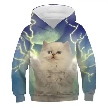 

Cute cartoon 3D kitty print hoodie funny style for men and women blouse sweatshirt autumn tide cat pattern casual print sweater