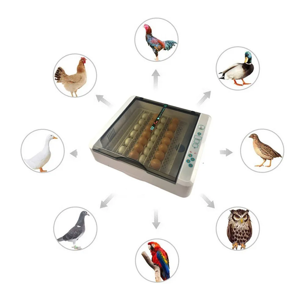 

Farm Egg Incubator Large Capacity 36 Eggs Automatic Incubator 60W LED Efficient Poultry Intelligent Automatic Incubator