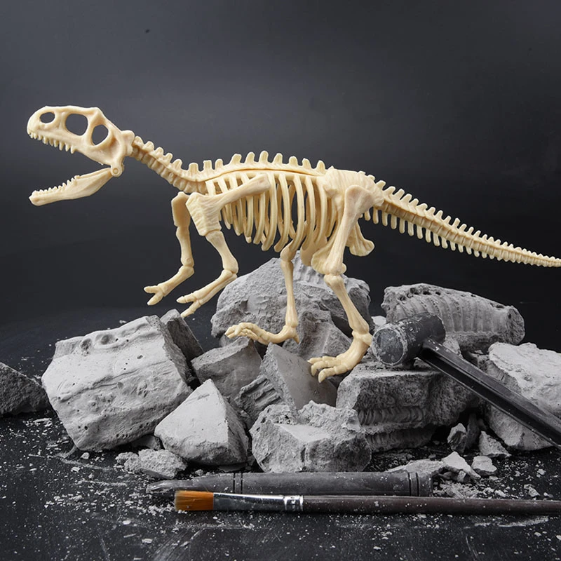 dinosaur toy skeleton fossil excavation